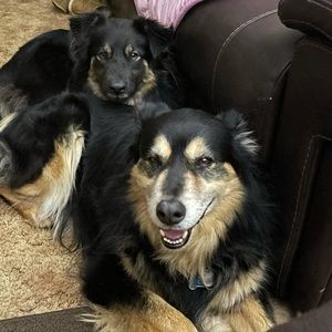 Meet your Posher, Tammy